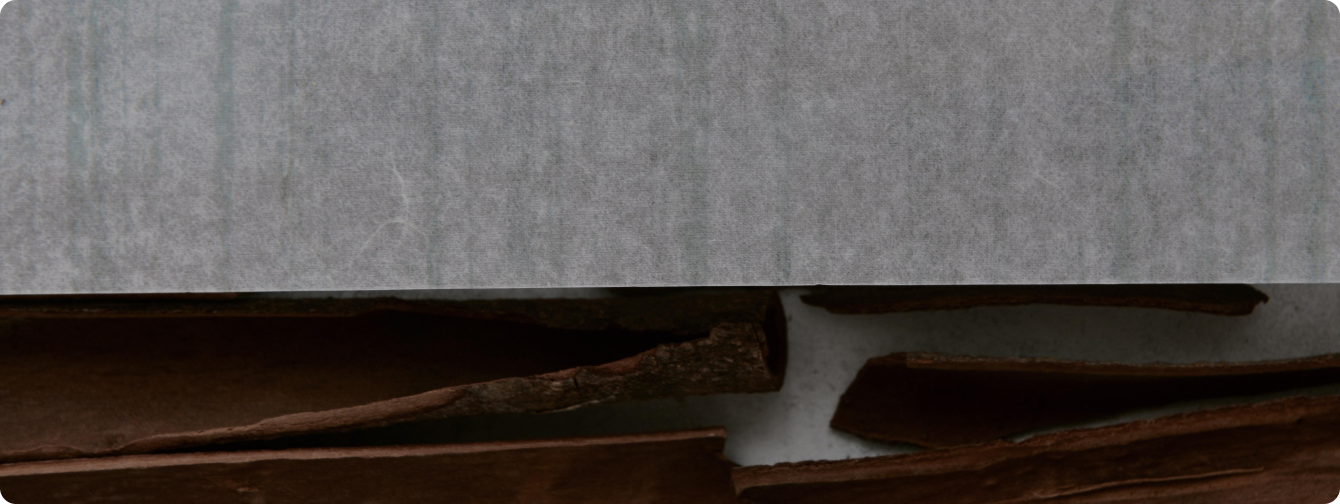 Washi texture in daylight